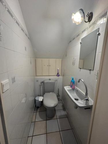 une petite salle de bain avec toilettes et lavabo dans l'établissement Les Bruyères, à Martigues