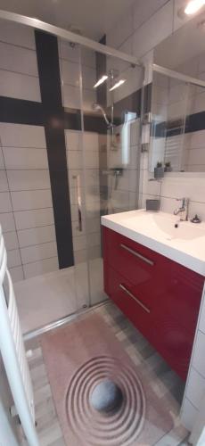 Koupelna v ubytování Appartement au cœur du Mont-Dore