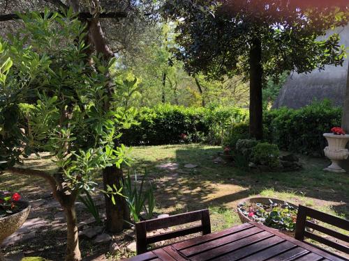 A garden outside Villino San Silvestro