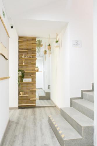 Φωτογραφία από το άλμπουμ του Golden Stay Experience σε Αλμπουφέιρα