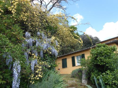 a house with purple flowers in front of it at Casa Asilo La Foce, Val d' Orcia, Pienza. in Pienza