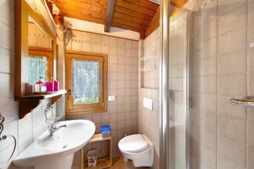 a bathroom with a toilet and a sink and a shower at Orserose Chalet 1 La Bilancia in Forno di Zoldo