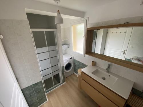 une salle de bain avec un lavabo et une machine à laver dans l'établissement Le Semnoz, à Saint-Jorioz
