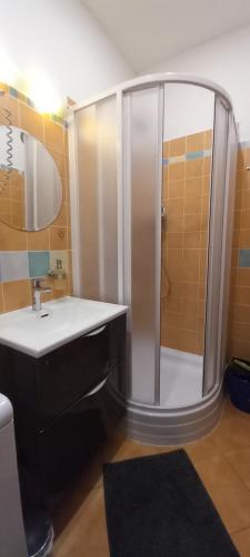 a bathroom with a shower and a sink at Apartmán McVitek in Sušice