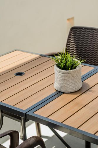 a wooden table with a pot of plants on it at CASA ALDAMA- Style & Convenient Apartments in Cancún