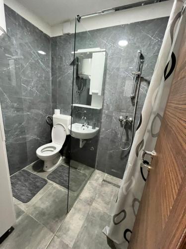 uma casa de banho com um chuveiro, um WC e um lavatório. em Apartman Zlatan em Sarajevo