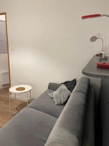 un canapé dans une chambre avec une lampe et une table dans l'établissement Cosy Studio 16m2, à Lyon