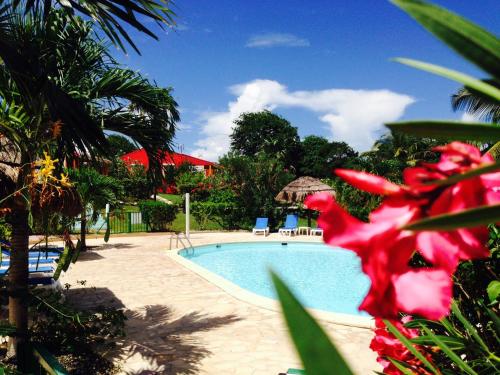 a swimming pool in a resort with a red flower at Au Village de Menard in Saint-Louis