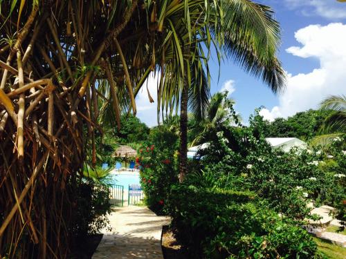 a palm tree next to a path with a pool at Au Village de Menard in Saint-Louis