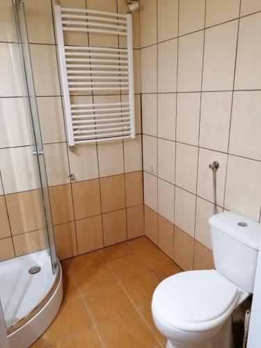 a bathroom with a toilet and a shower at Hallera Wroclaw in Wrocław