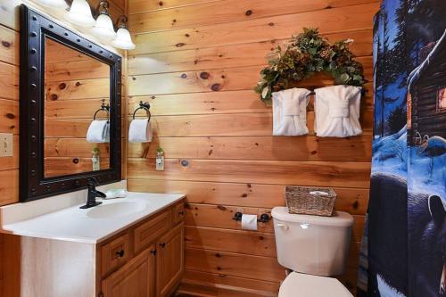 a bathroom with a toilet and a sink and a mirror at Glimpse of Heaven in Sevierville
