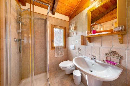 a bathroom with a sink and a toilet and a shower at Orserose Chalet 6 I Scarpet in Forno di Zoldo