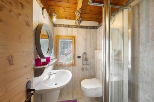 La salle de bains est pourvue d'un lavabo, de toilettes et d'un miroir. dans l'établissement Orserose Chalet 3 I Ciodi, à Forno di Zoldo