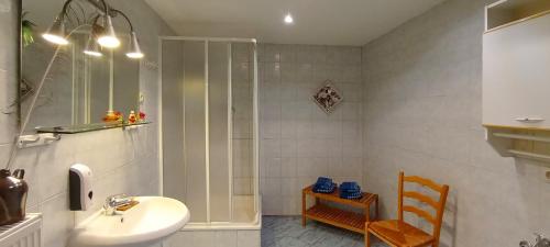 ein Bad mit einer Dusche, einem Waschbecken und einem WC in der Unterkunft Ferienwohnung Wenzlaff in Arnstadt