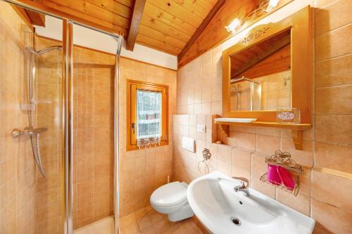 a bathroom with a shower toilet and a sink at Orserose Chalet 5 I Fus in Forno di Zoldo