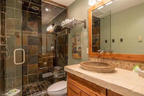 een badkamer met een wastafel, een douche en een toilet bij Cottonwood Condo 1474 in Sun Valley