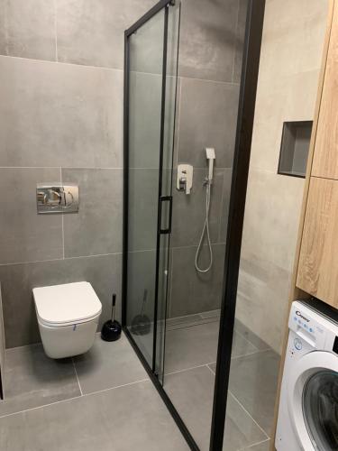 a bathroom with a shower with a toilet and a sink at Studio apartment with pool in Budapest