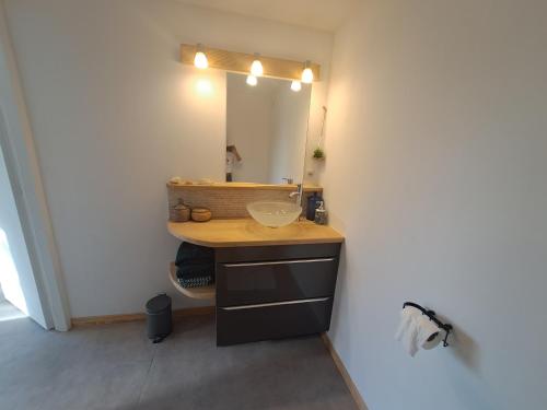 een badkamer met een wastafel en een spiegel bij Les glycines in Salles-la-Source