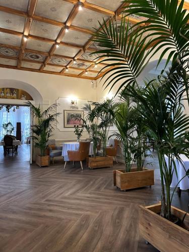a room with potted plants and a table at Hotel Willa Starosty in Międzyrzecz