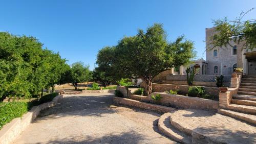 Un jardín fuera de Dar Ez-zine