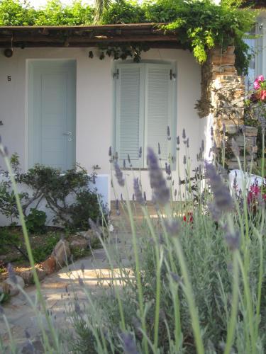 Zahrada ubytování Kavos Hotel Naxos