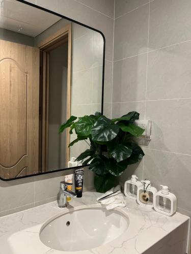 ein Waschbecken mit einem Spiegel und einer Topfpflanze in der Unterkunft Ocean Park 2 - Superior room in Hòa Bình