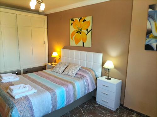 1 dormitorio con 1 cama y una pintura en la pared en Piso turístico en Granada. Zona Palacio Deportes en Granada