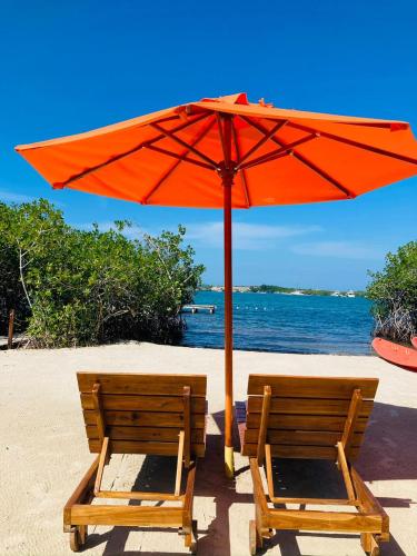 two chairs under an umbrella on a beach at Hotel Playa Scondida Barú in Baru