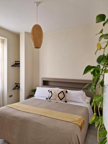 a bedroom with a bed and a potted plant at Apartamentos VITA CENTER in Granada