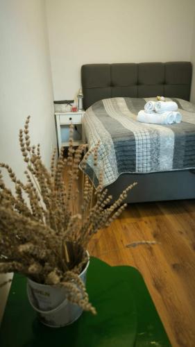 ein Schlafzimmer mit einem Bett und einer Topfpflanze auf einem Tisch in der Unterkunft Apartman Ivana in Klek