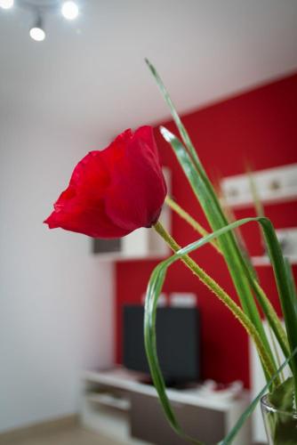 Μια τηλεόραση ή/και κέντρο ψυχαγωγίας στο Apartament Bagà