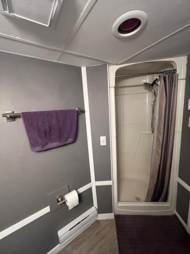 y baño con ducha y toalla púrpura. en Homestay in cozy River Heights home, en Winnipeg