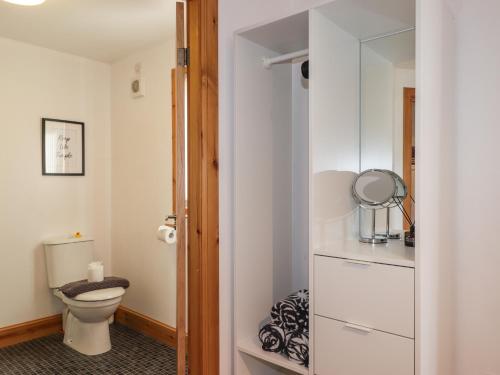 a bathroom with a toilet and a white cabinet at Chalet C in Dornoch