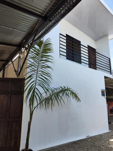 una palmera frente a un edificio blanco en Casa La Frontera, en Sixaola