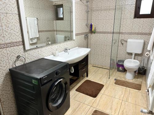 uma casa de banho com uma máquina de lavar roupa num lavatório em Casa Rustica Cernica em Cernica