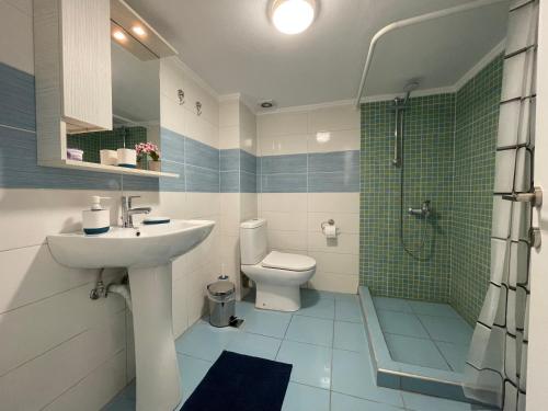 een badkamer met een wastafel, een toilet en een douche bij Asterios Home in Thessaloniki