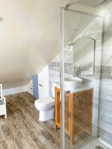 a bathroom with a toilet and a sink at Villa Tahitienne in Frontignan