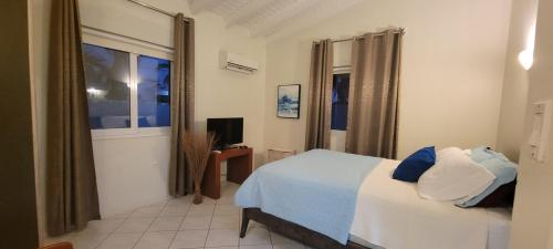 a bedroom with a bed and a television in it at Private Luxury Villa Palm Beach in Palm-Eagle Beach