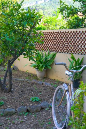 a bike parked next to a wall next to a tree at B&B Aurora in Jelsa