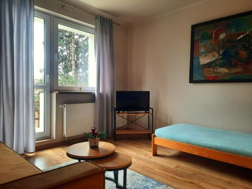 een woonkamer met een bank, een bed en een raam bij Alfa 3 in Bystra