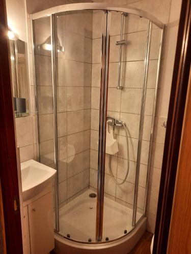 een douche met een glazen deur in de badkamer bij Alfa 3 in Bystra