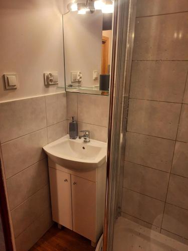 een badkamer met een wastafel, een spiegel en een douche bij Alfa 3 in Bystra