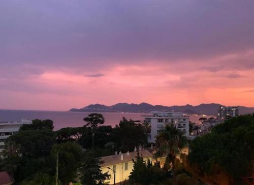 Appartement Pépite à Cannes