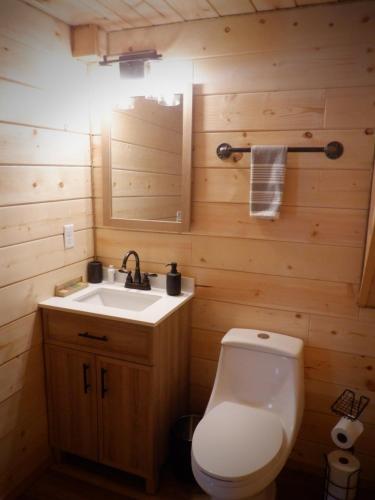 a bathroom with a white toilet and a sink at Lucky Guesthouse in Trapper Creek