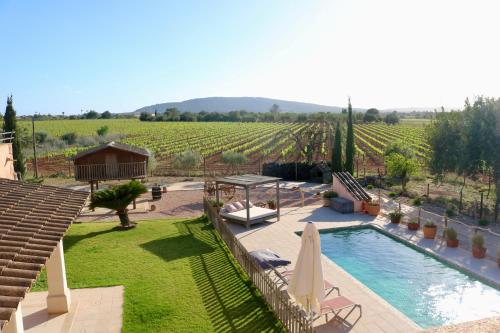 einen Hinterhof mit einem Pool und Blick auf einen Weinberg in der Unterkunft Cas Coix. Jacuzzi, gimnasio y piscina in Biniali