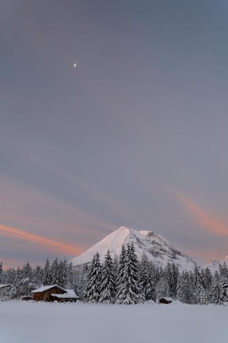a mountain covered in snow with trees in the foreground at Ostbacher Stern in Leutasch