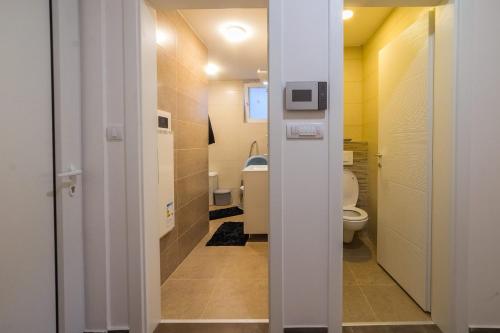 La salle de bains est pourvue de toilettes et d'un lavabo. dans l'établissement Apartman BOJANA, à Pirot