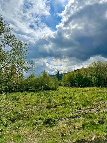 a field of grass with trees and a cloudy sky at Blisko Gór Szyndzielnia in Bielsko-Biala