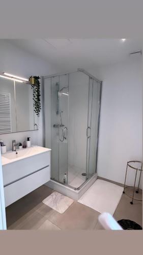 La salle de bains est pourvue d'une douche, d'un lavabo et de toilettes. dans l'établissement Joli appartement haut standing Liège Centre, à Liège