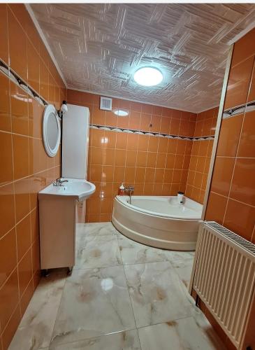 シビウにあるVila dintre braziのバスルーム(バスタブ、洗面台、トイレ付)